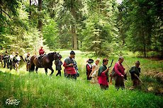 Bayerischer Wald